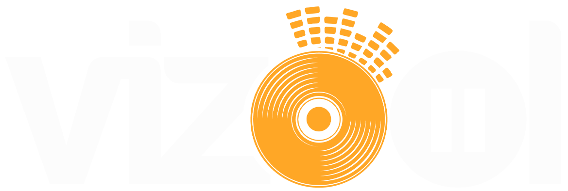 Logo Vizool